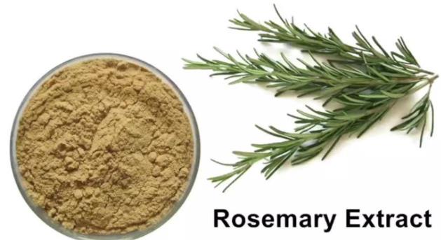 Rosmarinic acid powder