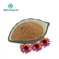 Echinacea purpurea ekstrakt pulver