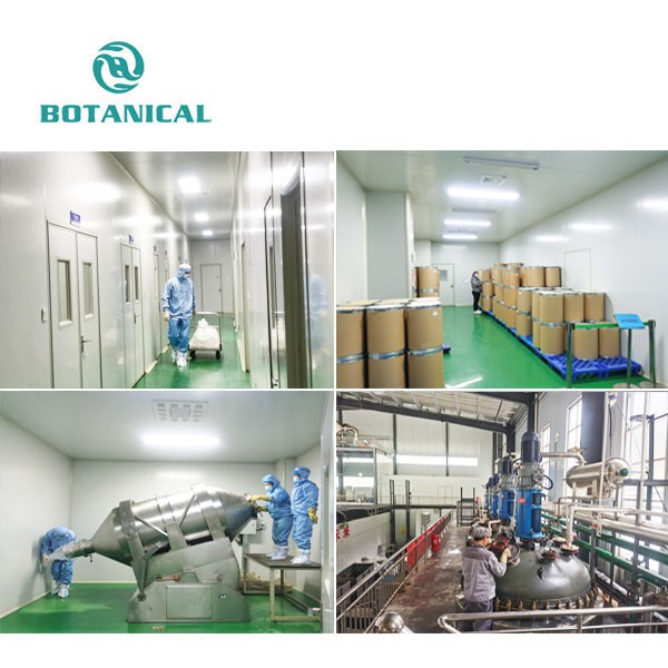 Milk Thistle Extract Powder