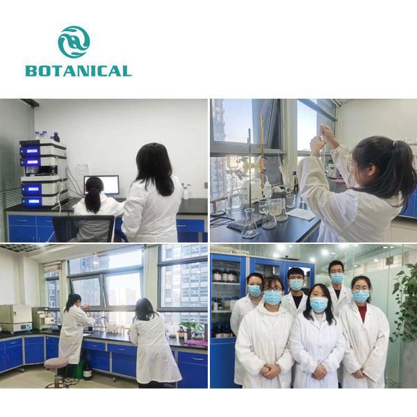 Milk Thistle Extract Powder