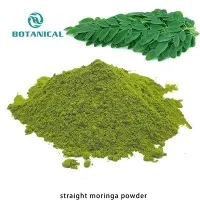 Moringa Extract Moringa bladpulver
