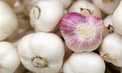 Hvad er hvidløgsekstrakt?