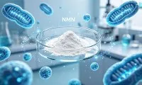 Hvad er bedre til anti-aldring, NAD eller NMN?