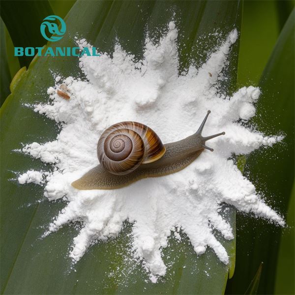 Snail mucinpulver